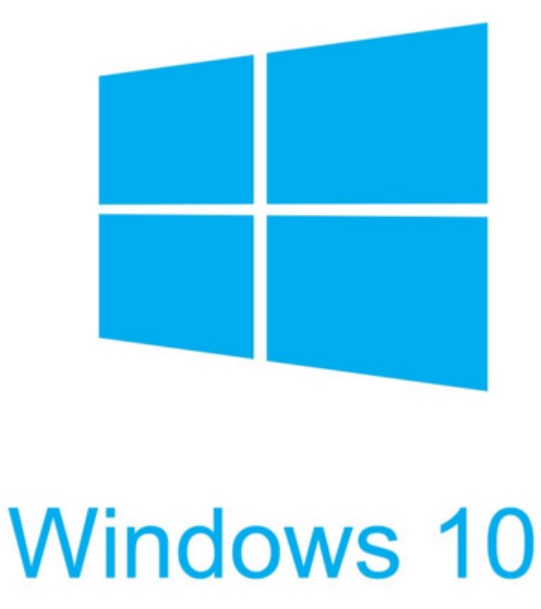 Windows19Logo