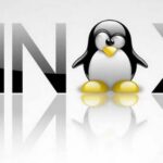 LinuxLogo